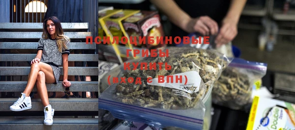 дмт Аркадак