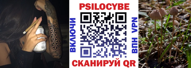 Купить где  Чусовой  Псилоцибиновые грибы Cubensis 